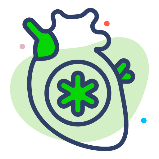 Cardiovascular icon