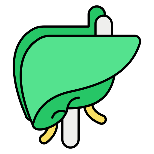 liver icon